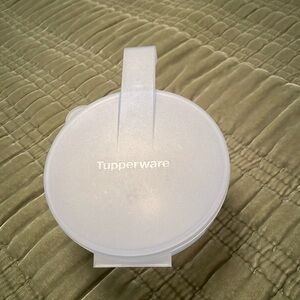 NWOT TUPPERWARE Forget Me Not Vegetable or Onion Hanging Keeper USA